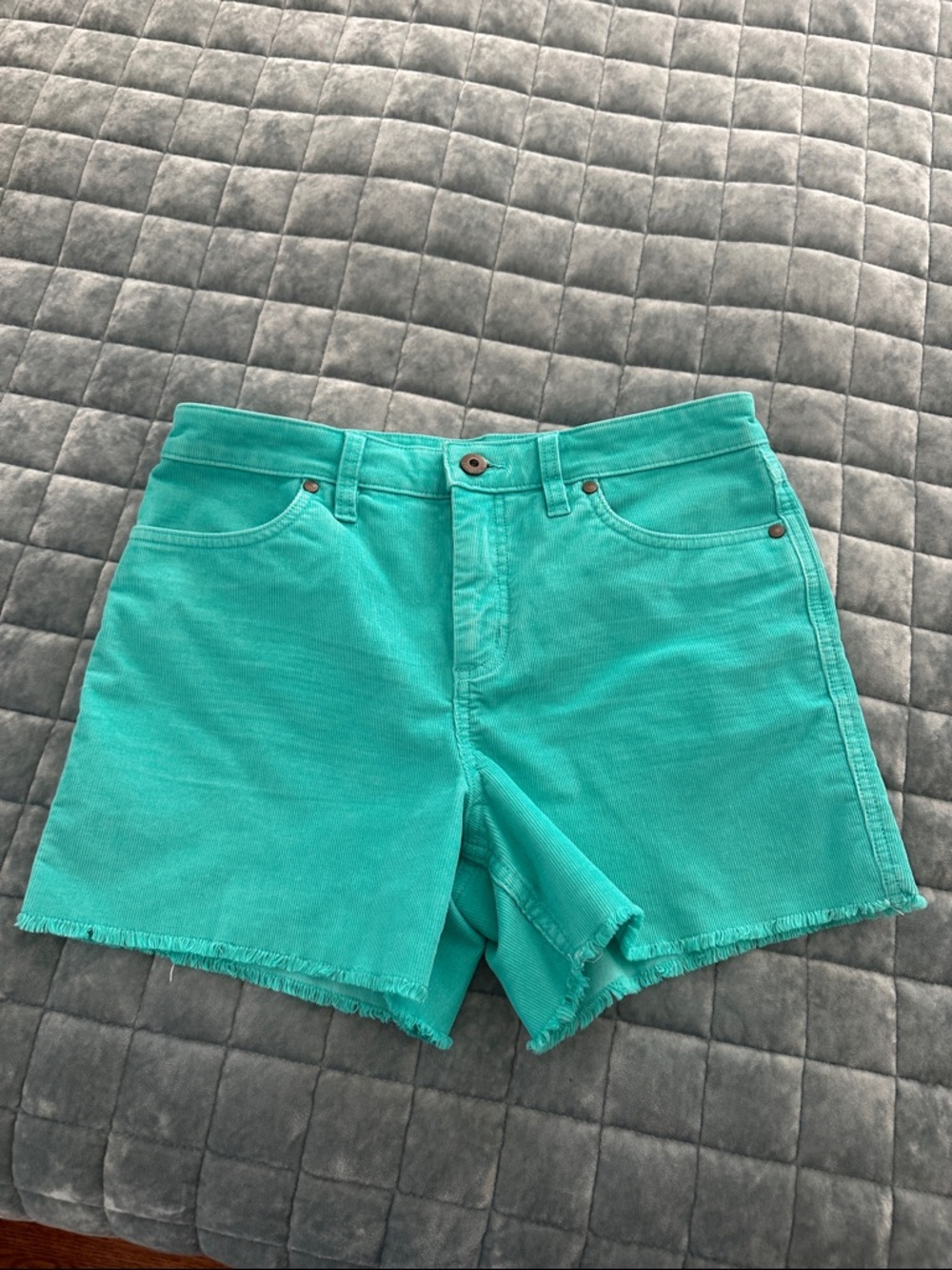 Carve Designs Turquoise Frayed Hem Corduroy Shorts